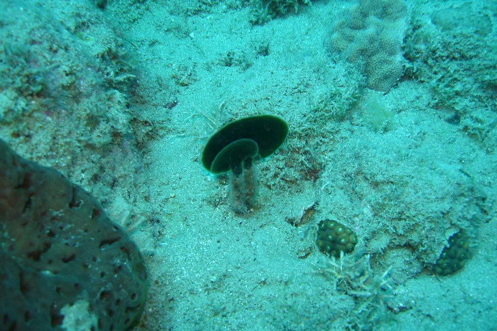 2008-05-14 16-37-37.JPG
